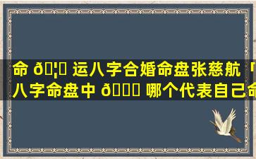 命 🦈 运八字合婚命盘张慈航「八字命盘中 🐝 哪个代表自己命运」